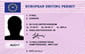 European Driving Permit